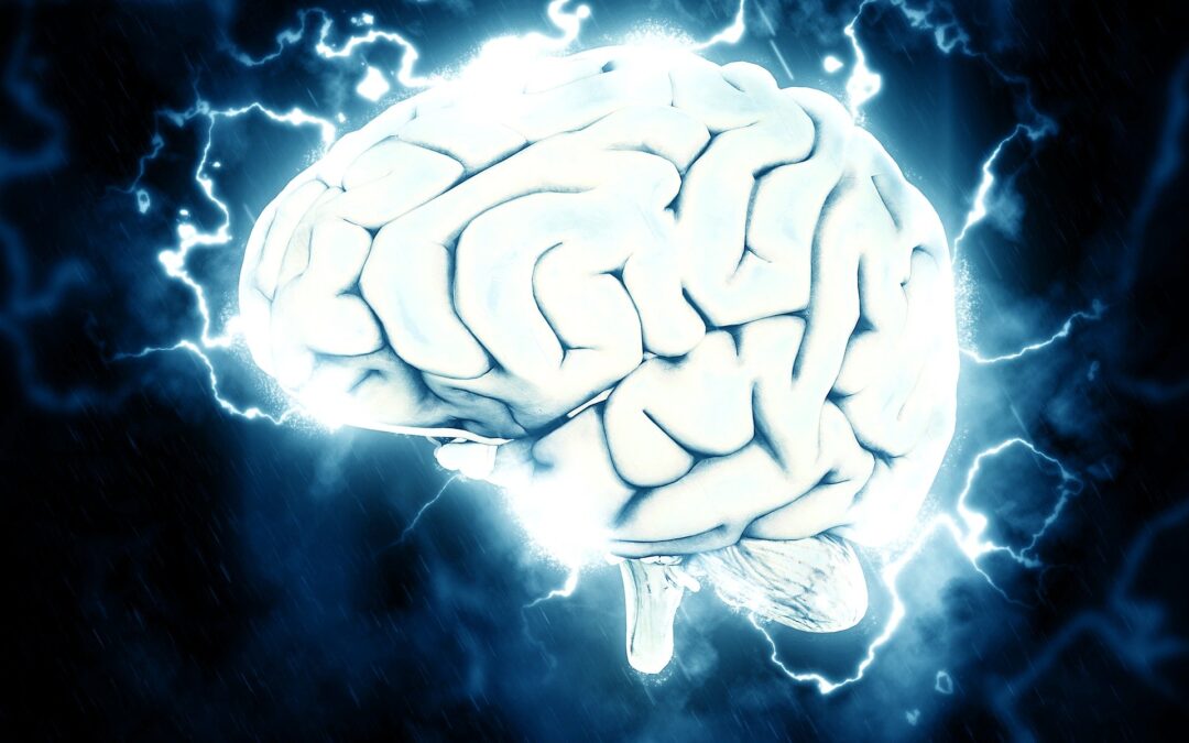 Descubren nuevas alteraciones en el cerebro por riesgo genético en alzhéimer