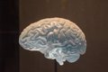 Hallan por sorpresa cobre y hierro en el cerebro de pacientes con alzhéimer